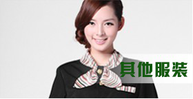 其他服装